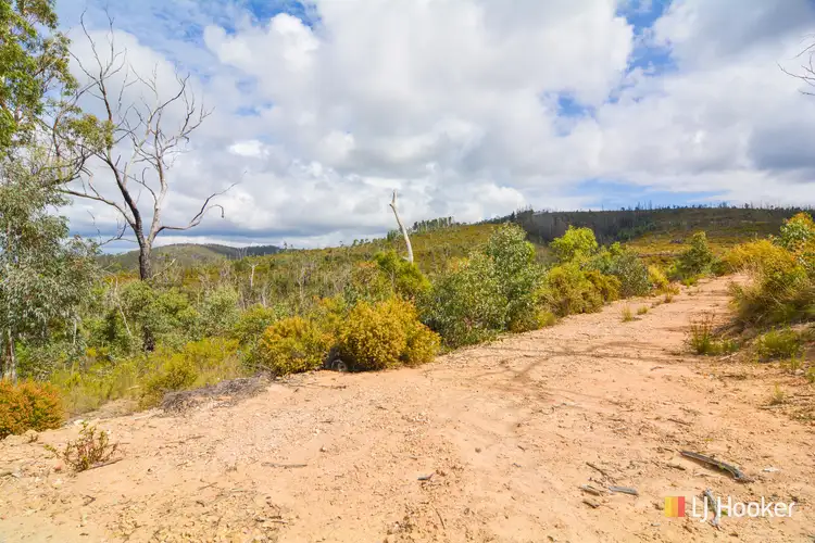 Seventh view of Homely rural property listing, 257 New Olivers Road, Running Stream NSW 2850