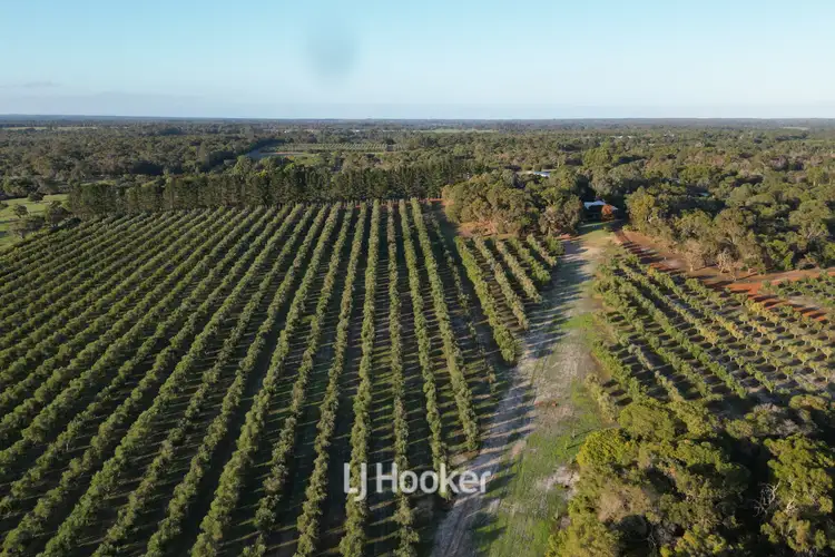 Third view of Homely house listing, 50 Treemartin Road, Carbunup River WA 6280