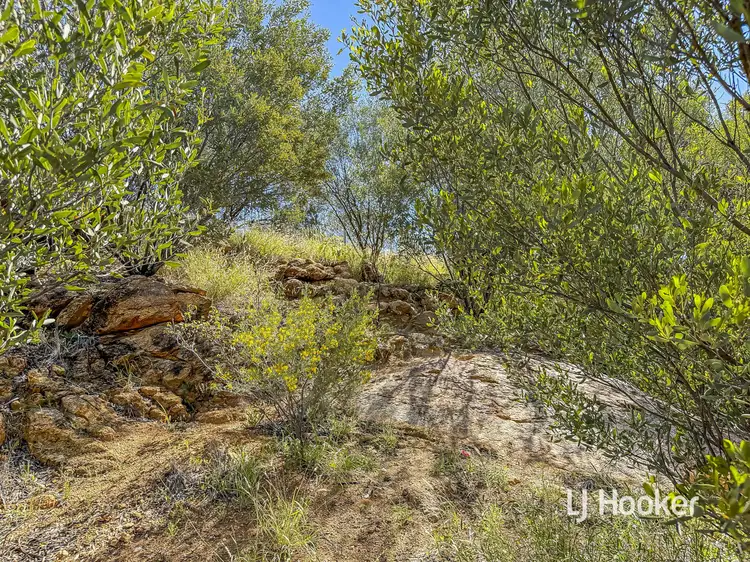 Sixth view of Homely house listing, 5 Horizon Court, Braitling NT 870