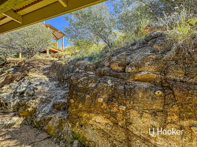 Seventh view of Homely house listing, 5 Horizon Court, Braitling NT 870