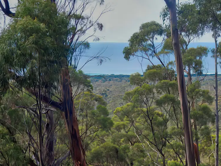 Seventh view of Homely land listing, 2 Barnard Drive, Bicheno TAS 7215