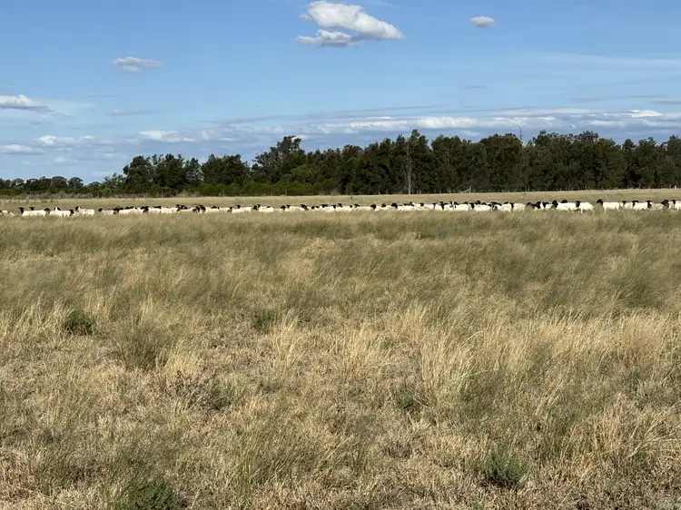 31850 Cunningham Hwy, Goondiwindi QLD 4390