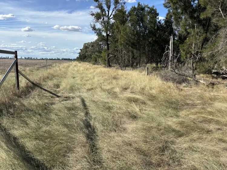 Third view of Homely rural property listing, 31850 Cunningham Hwy, Goondiwindi QLD 4390