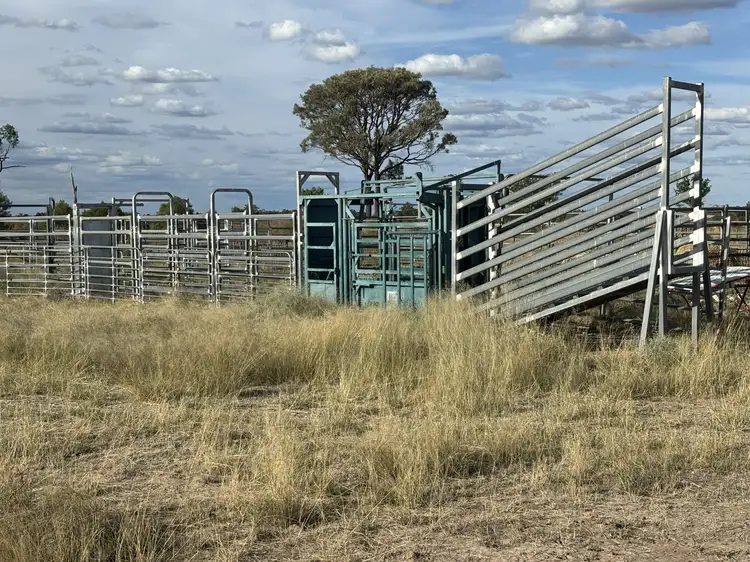 Fifth view of Homely rural property listing, 31850 Cunningham Hwy, Goondiwindi QLD 4390