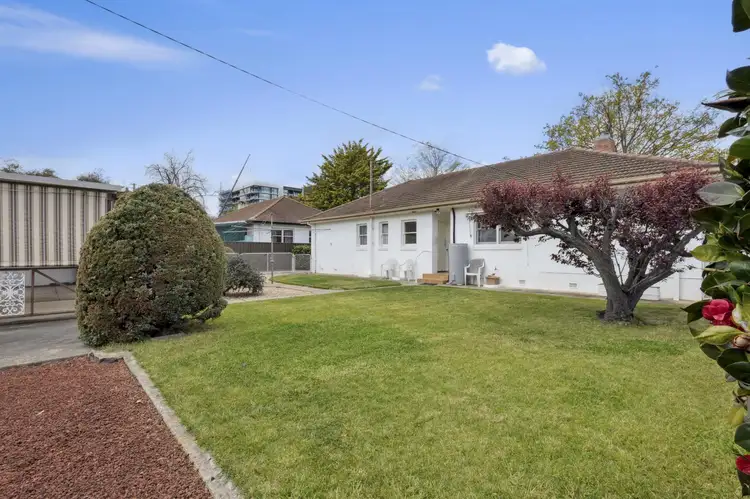 87 Macarthur Avenue, O'connor ACT 2602