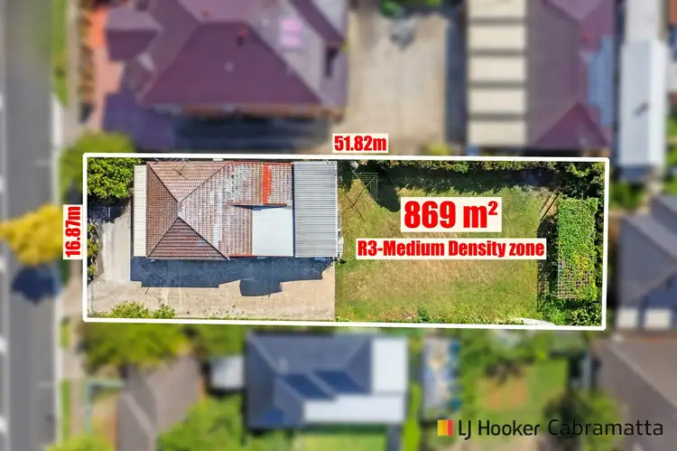 197 Canley Vale Road, Canley Heights NSW 2166