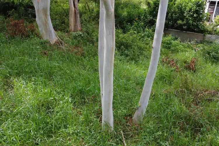 Fourth view of Homely land listing, 39 Belgrave Road, Russell Island QLD 4184