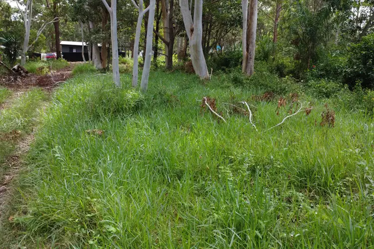 Fifth view of Homely land listing, 39 Belgrave Road, Russell Island QLD 4184