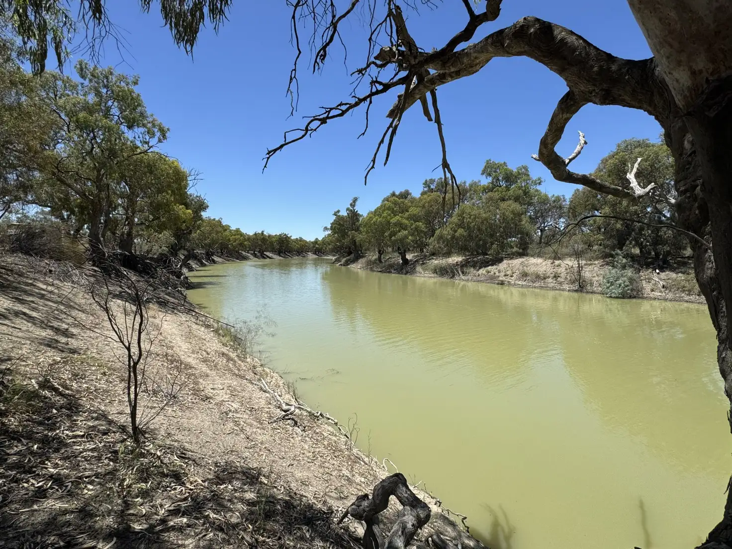 Main view of Homely land listing, Lot 16 & 6 Pamamaroo Road, Menindee NSW 2879