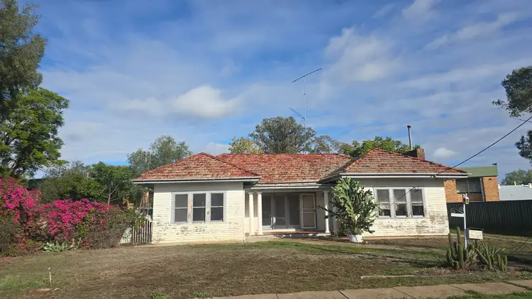 15 Maule Street