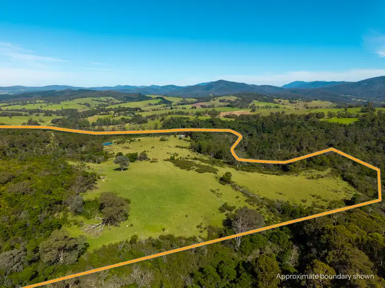 Fourth view of Homely rural property listing, Lot 26 Towamba Road, Burragate NSW 2550