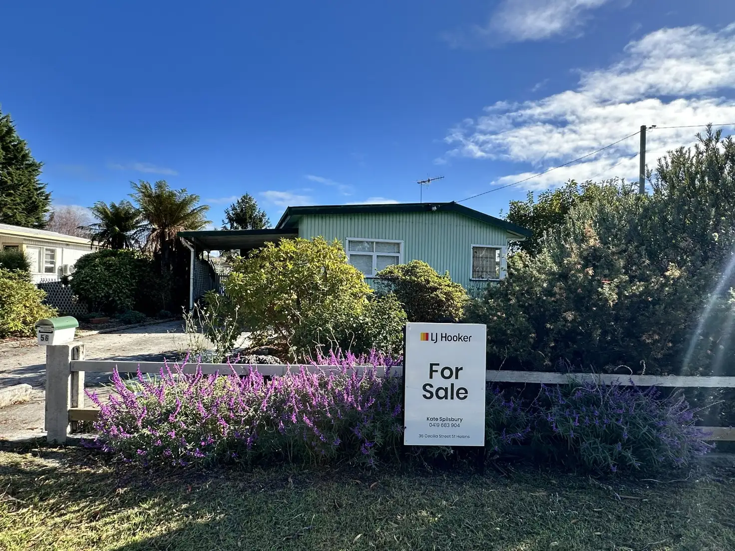 Main view of Homely house listing, 56 Medeas Cove Esplanade, St Helens TAS 7216