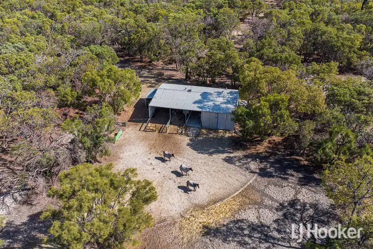 Main view of Homely rural property listing, 237 Stock Road, Parklands WA 6180