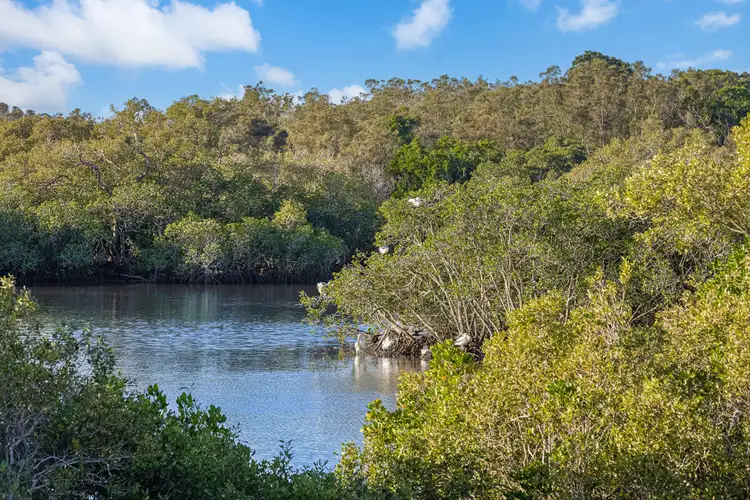 14 Water Street, Tweed Heads South NSW 2486