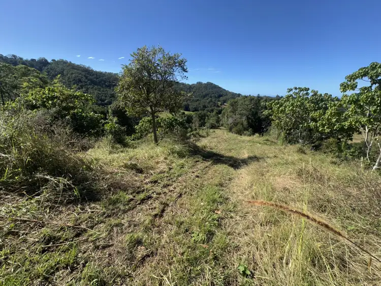 Fifth view of Homely rural property listing, 175 Kielys Road, Mooball NSW 2483