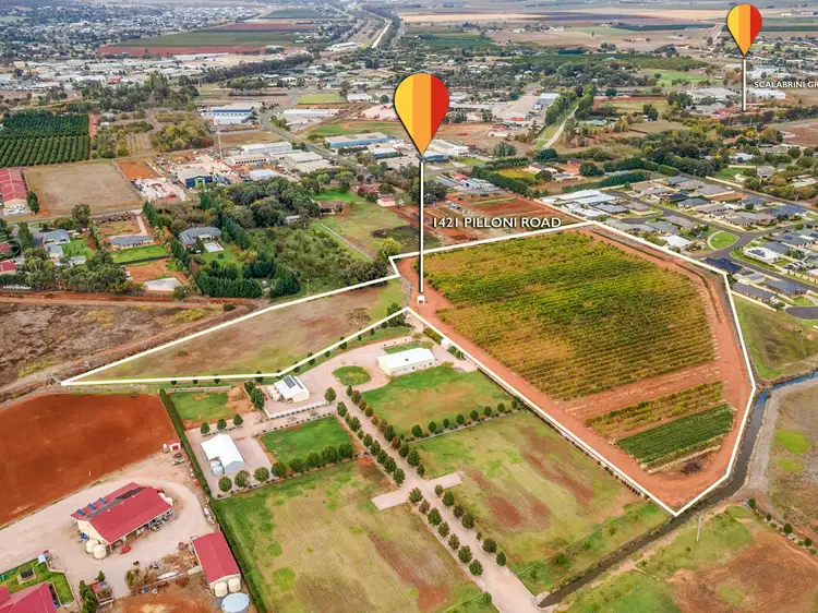 Second view of Homely rural property listing, 1421 Pilloni Road, Griffith NSW 2680