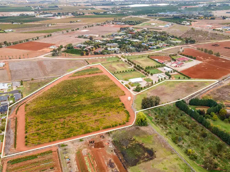 Third view of Homely rural property listing, 1421 Pilloni Road, Griffith NSW 2680