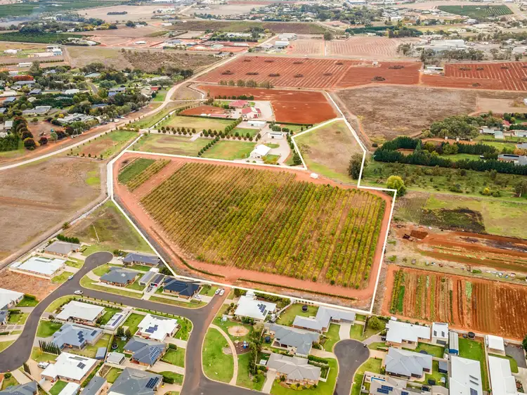 Fourth view of Homely rural property listing, 1421 Pilloni Road, Griffith NSW 2680