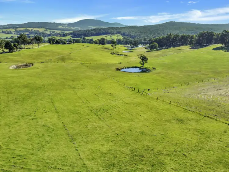 Second view of Homely house listing, 100 Hollingsworth Road, Clifton Creek VIC 3875