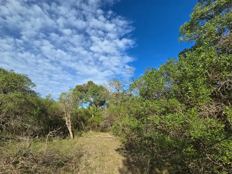 Fourth view of Homely land listing, 8 Bream Avenue, Hollands Landing VIC 3862
