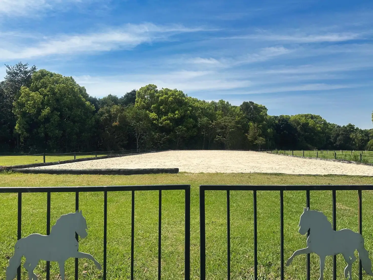 Main view of Homely house listing, 308 Tomewin Road, Dungay NSW 2484