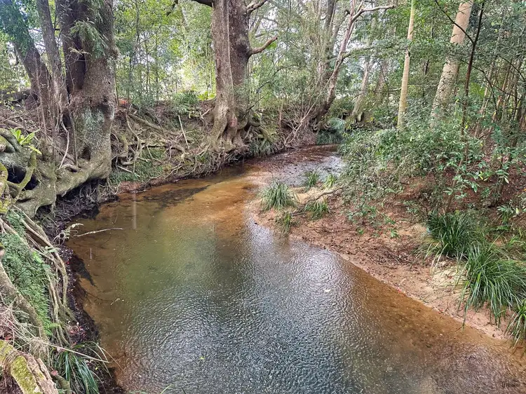 Fourth view of Homely house listing, 308 Tomewin Road, Dungay NSW 2484