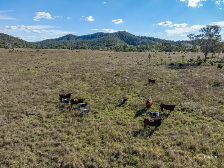 Third view of Homely rural property listing, Lot 113 Glenhowden Road, Colinton QLD 4314