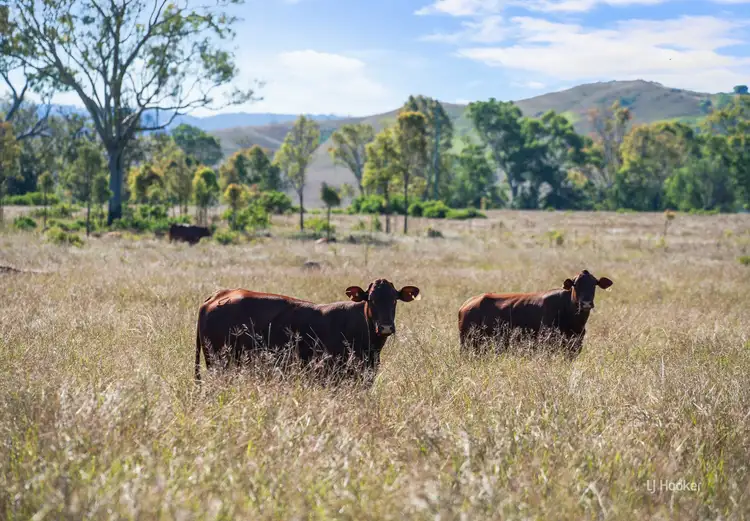 Fifth view of Homely rural property listing, Lot 113 Glenhowden Road, Colinton QLD 4314