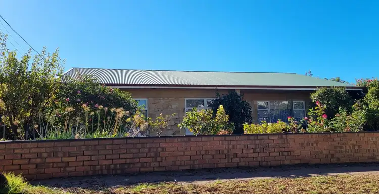 11 Pine Ave, Warradale SA 5046