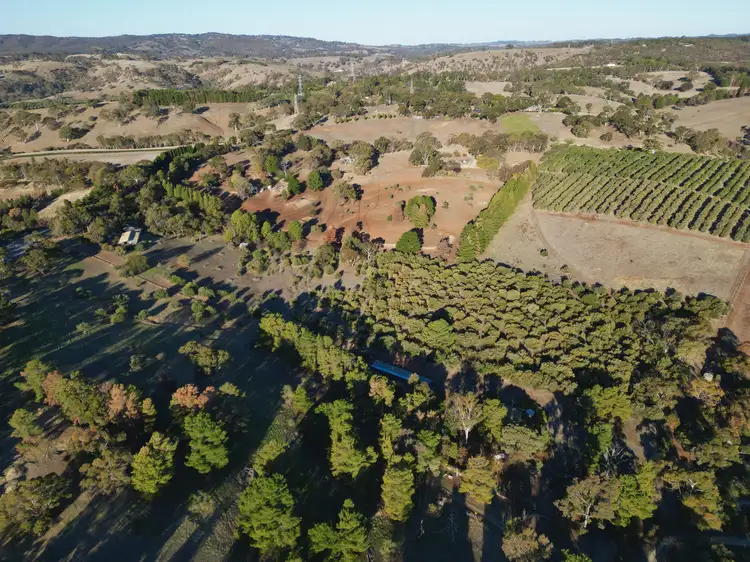 Fifth view of Homely house listing, 202 One Tree Hill Road, Golden Grove SA 5125