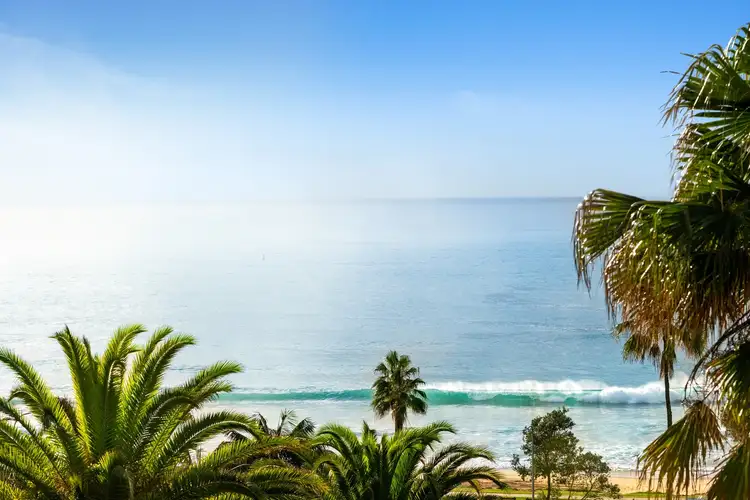 Second view of Homely house listing, 24 Palm Beach Road, Palm Beach NSW 2108