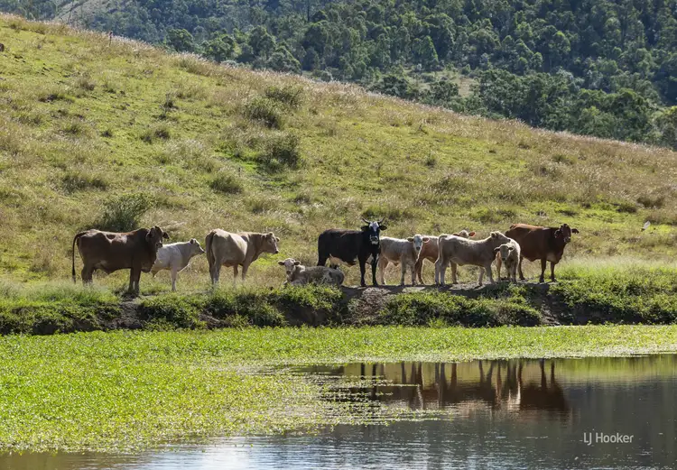 Seventh view of Homely rural property listing, 247 Grieves Road, Colinton QLD 4314
