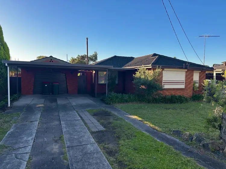Main view of Homely house listing, 239 Cornelia Road, Toongabbie NSW 2146