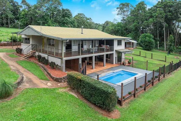 Third view of Homely rural property listing, 56 Mundey Road, Malanda QLD 4885