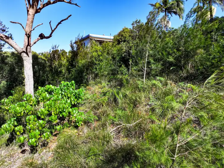 Third view of Homely land listing, 88 Falconhurst Road, Russell Island QLD 4184