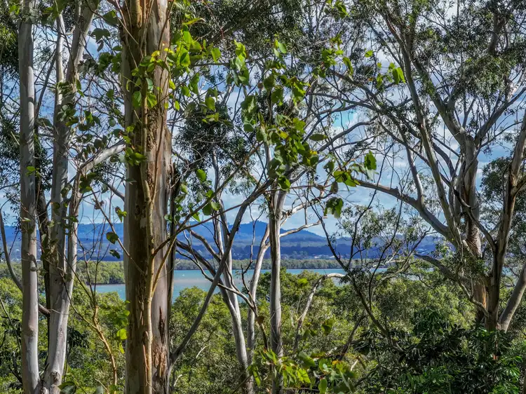 Second view of Homely land listing, 123-125 Laurel Street, Russell Island QLD 4184
