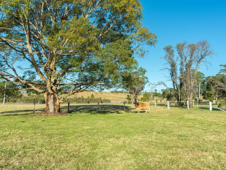Main view of Homely rural property listing, 150 Btu Road, Nowra Hill NSW 2540