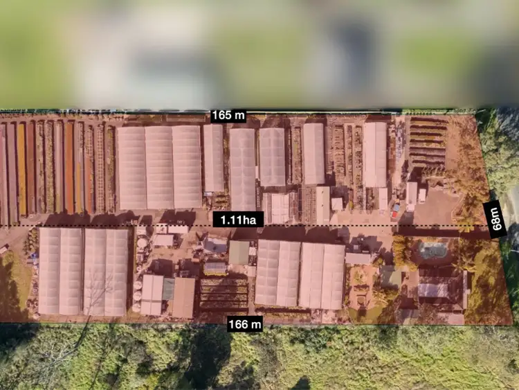 63 Wills Road, Long Point NSW 2564