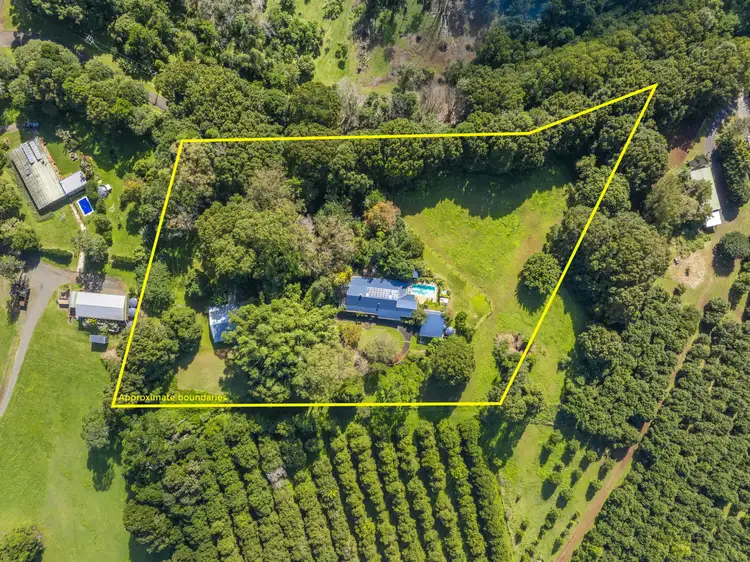 Second view of Homely house listing, 545 Humpty Back Road, Pearces Creek NSW 2477