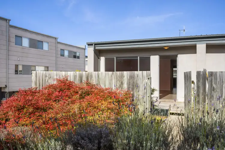 Main view of Homely townhouse listing, 41/15 Andersch Street, Casey ACT 2913