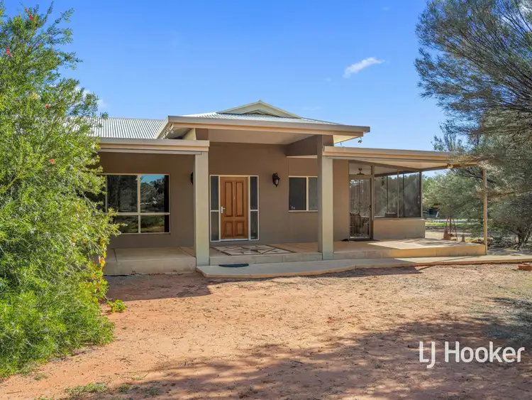 Main view of Homely rural property listing, 3 Buck Road, Ilparpa NT 873