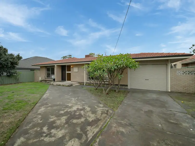 Main view of Homely house listing, 19 Bader Way, Stirling WA 6021