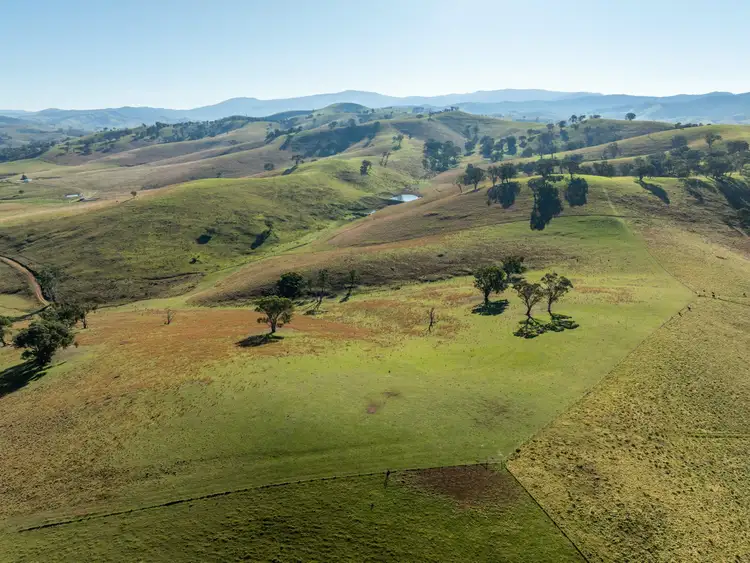 Seventh view of Homely rural property listing, 199 Sandy Creek Road & 16A Millers Road, Ensay VIC 3895