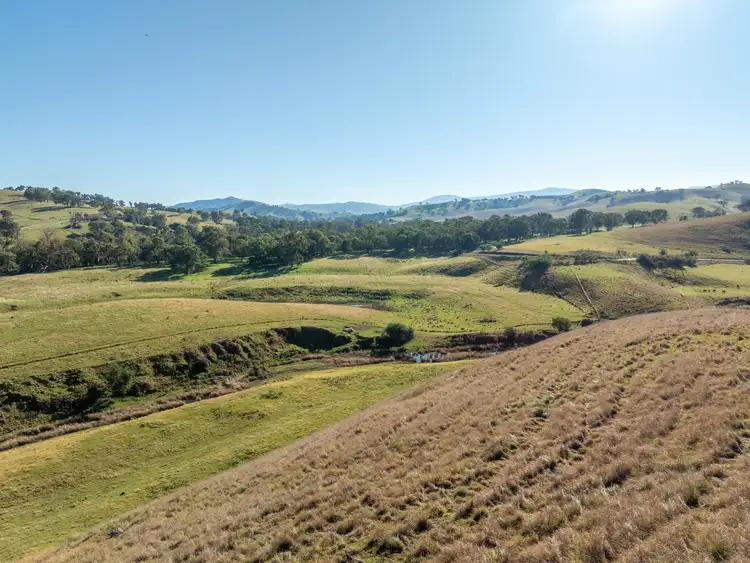 Seventh view of Homely rural property listing, 40 Sandy Creek Road, Ensay VIC 3895