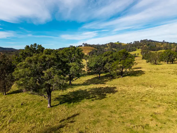 Lot 63 Watts Road, Cobargo NSW 2550