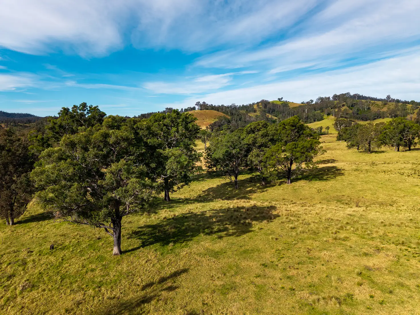 Main view of Homely land listing, Lot 63 Watts Road, Cobargo NSW 2550