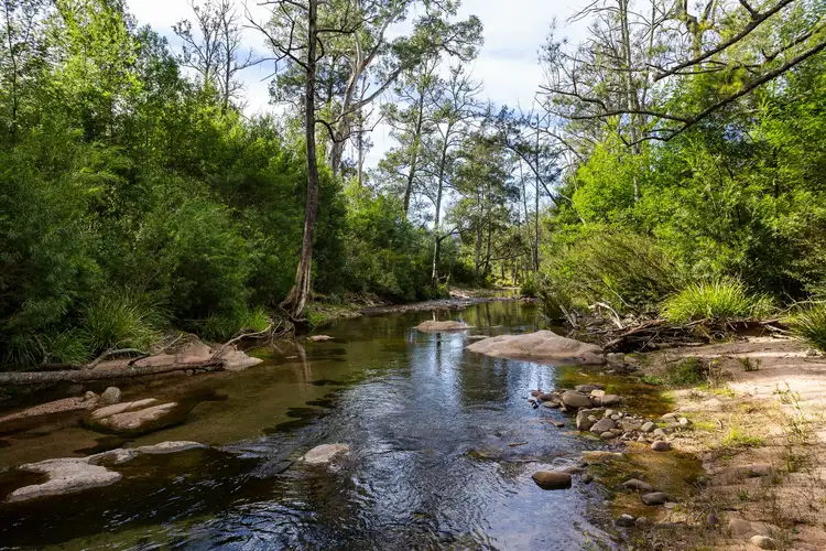 Sixth view of Homely land listing, Lot 63 Watts Road, Cobargo NSW 2550