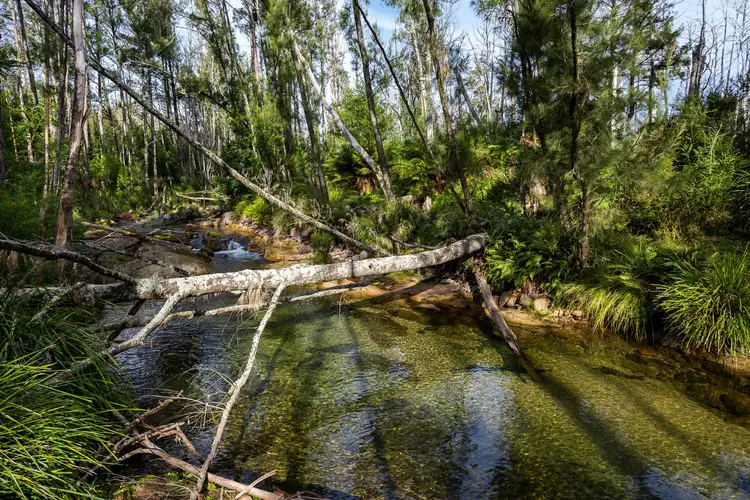 Seventh view of Homely land listing, Lot 63 Watts Road, Cobargo NSW 2550