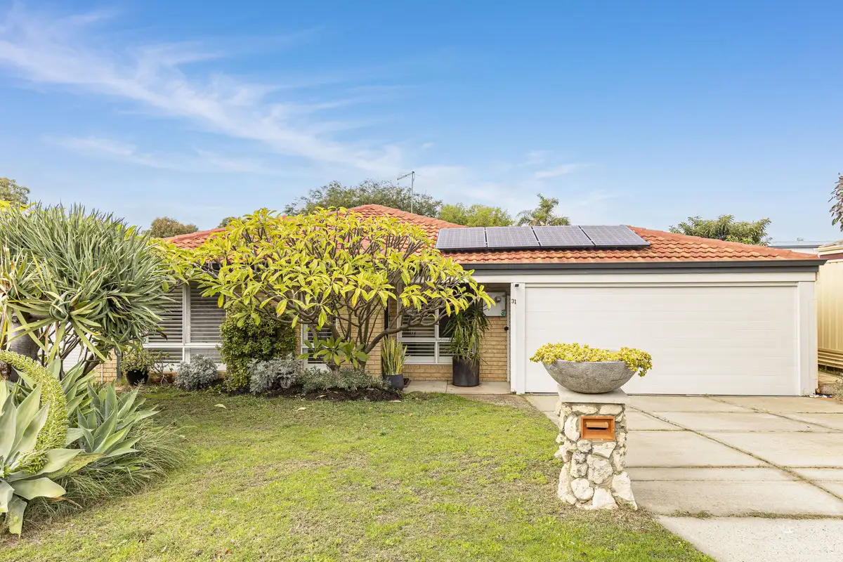 Main view of Homely house listing, 31 Danaher Mews, Clarkson WA 6030