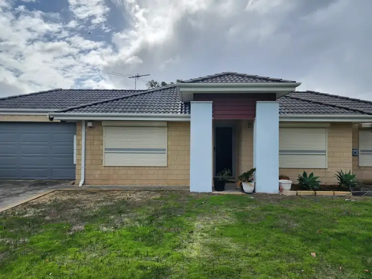 Main view of Homely unit listing, 35A Ticehurts Way, Balga WA 6061